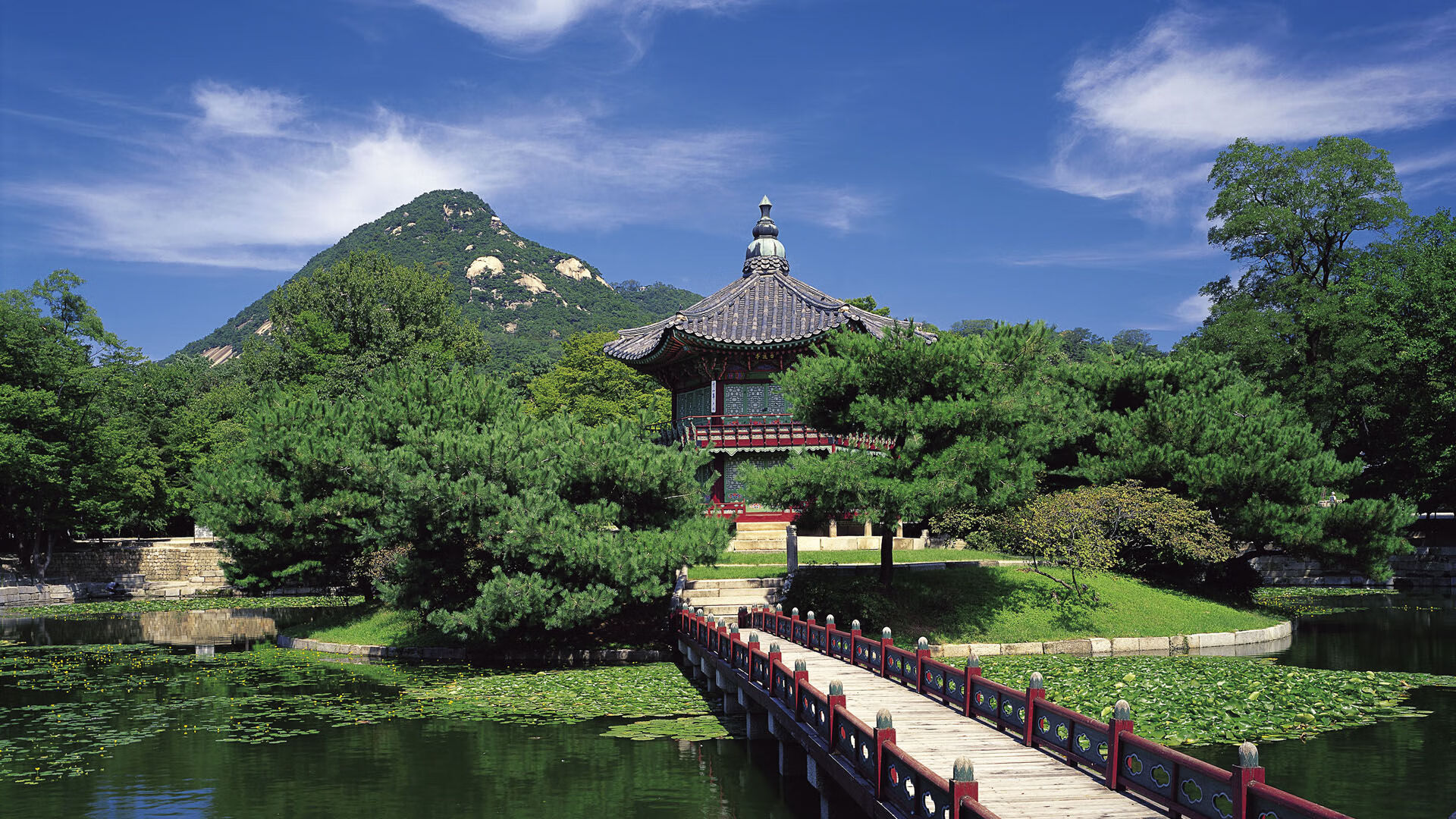 世界体操单项赛赛场康复与心理支持示范中心第三批城市揭牌,世界体操锦标赛